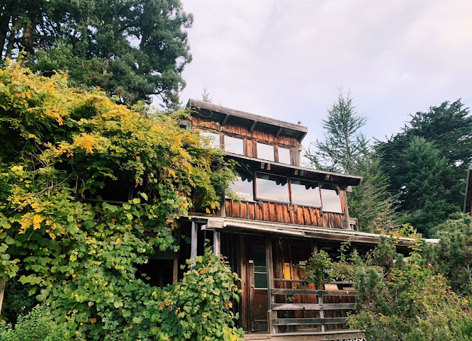 Oz Farm & Retreat Center by null