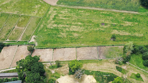 Photo n°7 de Centre équestre de la Bergerie nationale à Rambouillet (Centre équestre)
