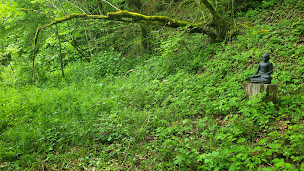 Photo n°9 de B&B Chez Nous à Messeix (Chambre d'hôtes)