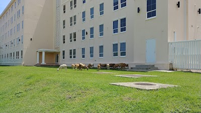 Photos of St. George's University