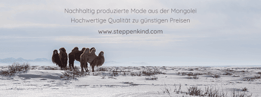 Steppenkind - Visual