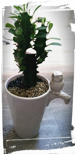L' Atelier Green Addict - Thumbnail