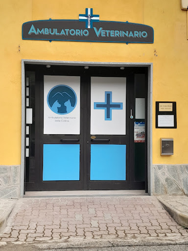 Ambulatorio Veterinario della Collina - Thumbnail