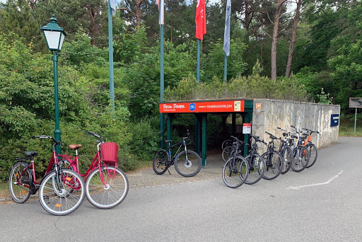 Pedal Power - Fahrradverleih Prerow & Zingst | Station 5
