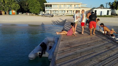 Photos of Tradition Sailing Charters