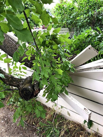 Anvil Fence