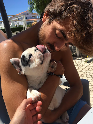 Hotel para perros Como en Casa   Hostel | Guardería Canina
