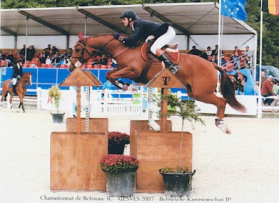Photos of Les Ecuries De Wisbeley