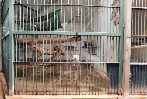 Belgrade Zoo - Thumbnail