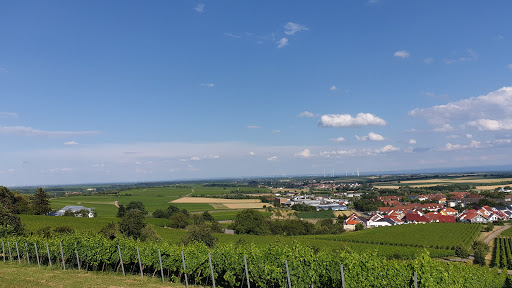 Weingut Hitziger Gallery - Germany
