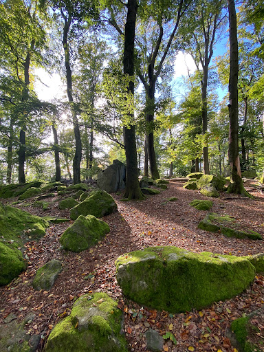 Malberg - Visual