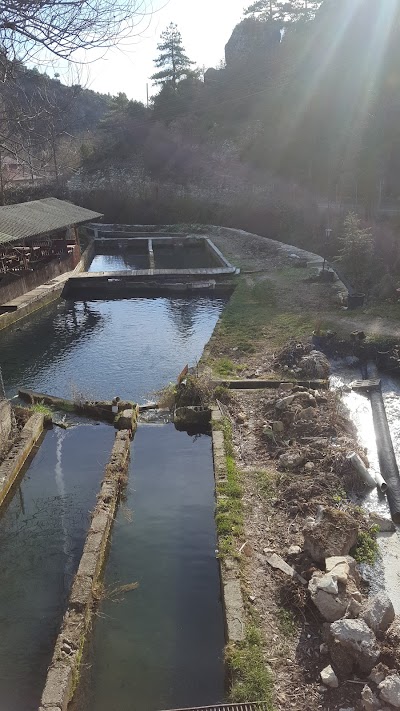 Photos of Mahdumlar Alabalık