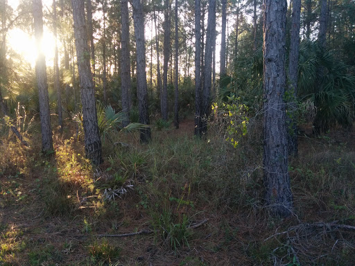 Town N Country Nature Preserve. - Thumbnail
