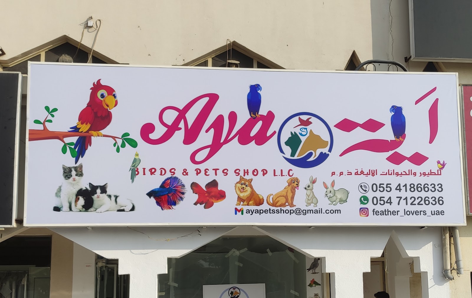 AYA PET SHOP LLC - صورة 2