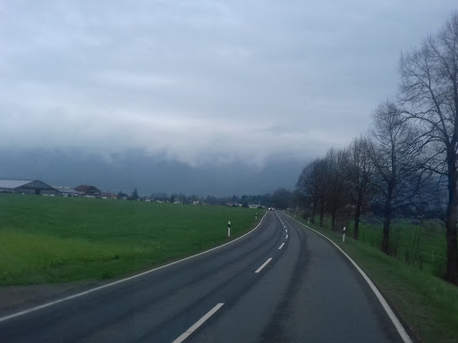 Islandpferdehof Blauer Reiter - Thumbnail