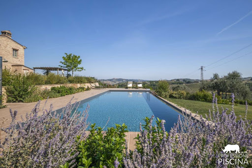 Professione Piscina - Visual
