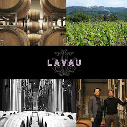 Photo n°18 de Cave Lavau à Violès (Établissement vinicole)
