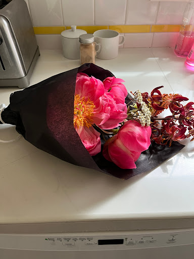 Colibri Flowers & Plants - Thumbnail