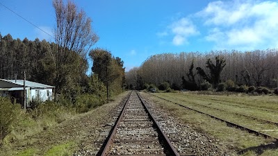 Photos of Camping la chechi