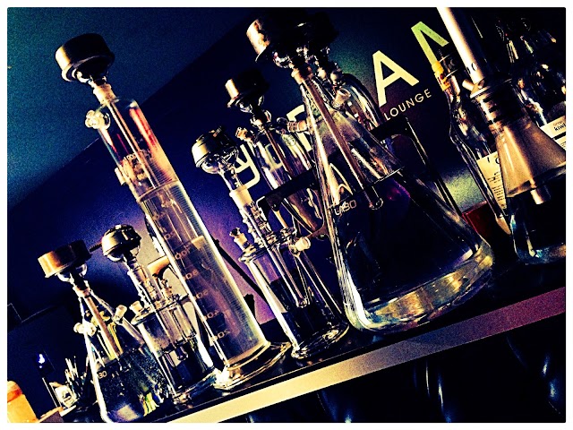 Chicha Le Dream