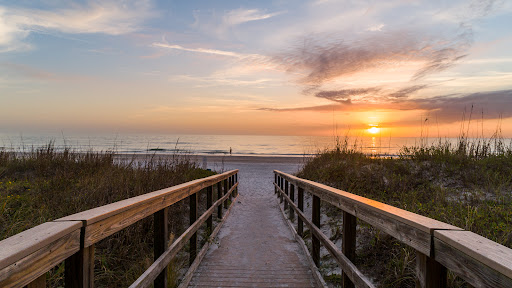 Tranquil Shores - Visual