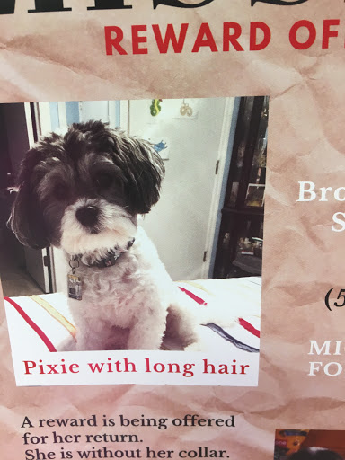 Best Friends Veterinary Clinic - Thumbnail
