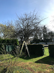 Photo n°24 de V F E. Paysage à Saint-Gelais (Paysagiste)