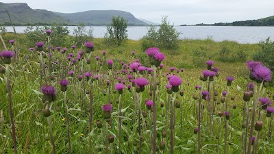 Photos of Kaffi Kj&oacute;s