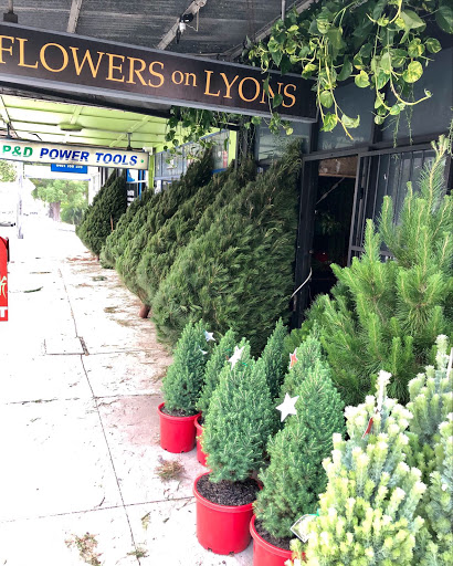 Flowers On Lyons - Thumbnail