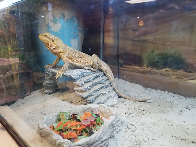 Children's Museum of Southeastern Connecticut