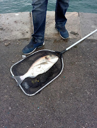 Photo n°17 de Poseidon à Sète (Magasin de pêche)
