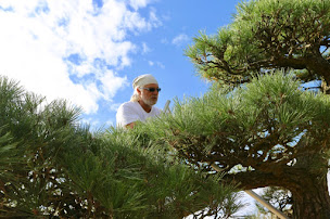 Photo n°23 de Carpe Koi ARtCANE à Rumersheim-le-Haut (Magasin d'articles d'aménagement aquatique du jardin)