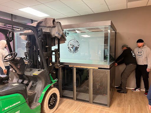 KnB Movers - Visual