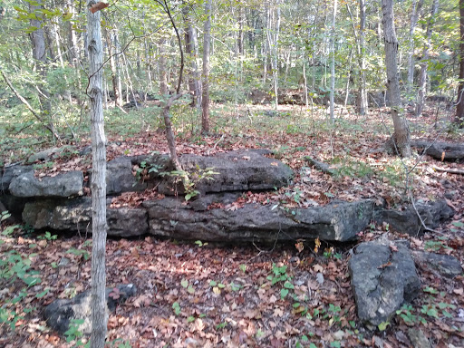 Clearview Park - Visual