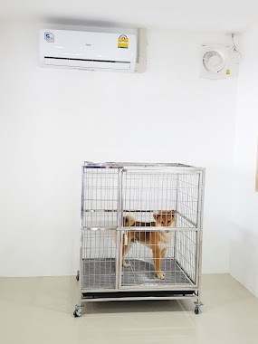 MA-NA pet hospital, Author: โรงพยาบาลสัตว์มานะ