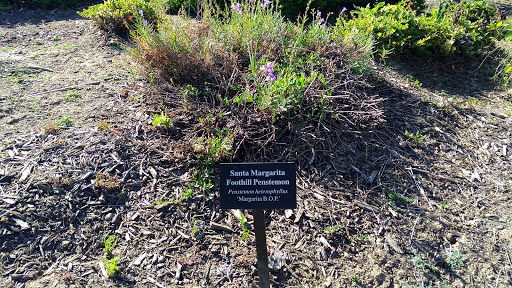 Elk Grove Rain Garden Plaza - Thumbnail