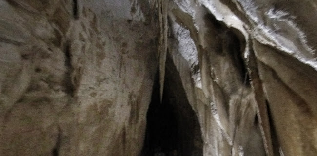 Waitomo Glowworm Caves - Te Kuiti