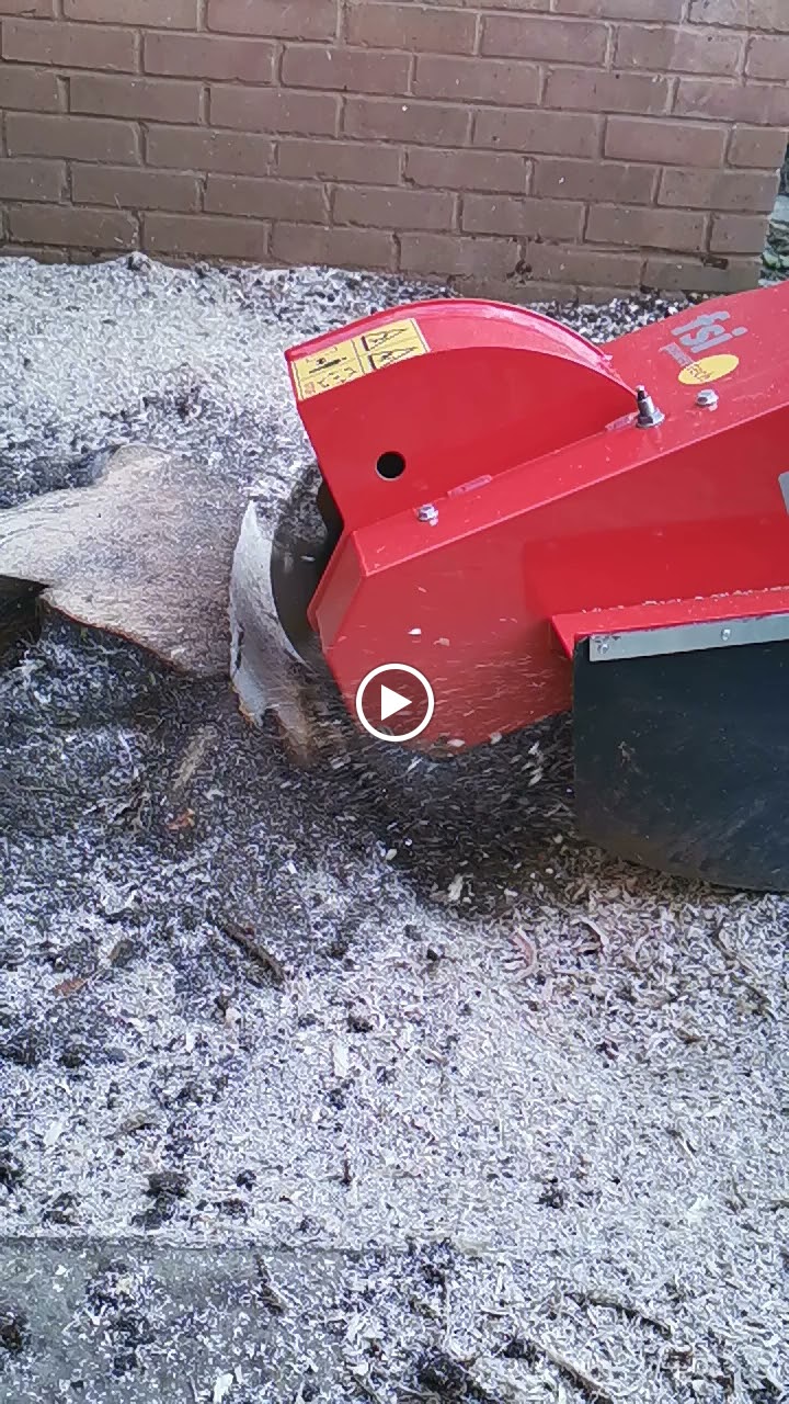 Mortimer Tree Services photo 2