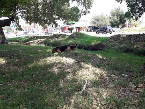 Plaza Yitzhak Rabin, Author: Susana Barbero