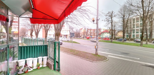 orar Florăria Magnolia Bistrița (Bd. Republicii)