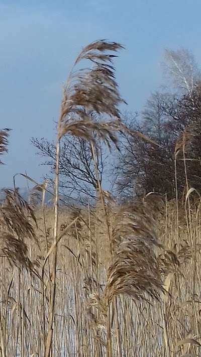 Photos of Vėjas galvoje, V&scaron;Į