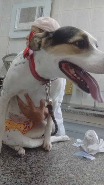Photos of Veterinary Dr Drummond