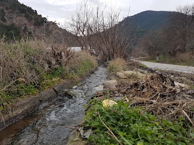 Alibey Çiftliği Aile Pansiyonu