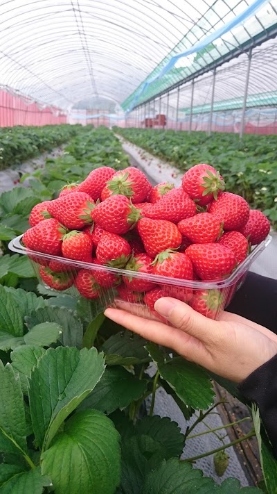 優峰園フルーツランド