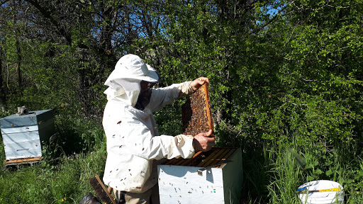 Photo de Colisée - EHPAD LES HIRONDELLES DE GALAURE à Montrigaud (26350)