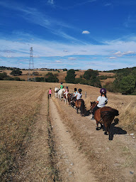 Photo n°1 de Centre équestre Domaine de La Croux à Saussenac (Éleveur de chevaux)