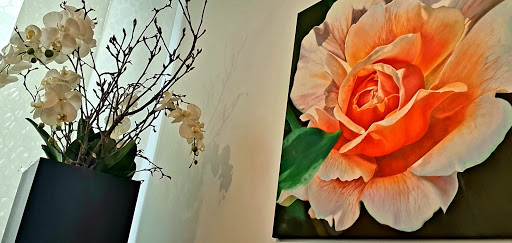 Dentalzentrum Essen - Thumbnail
