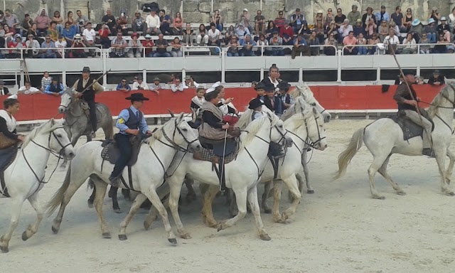 Arènes d'Arles