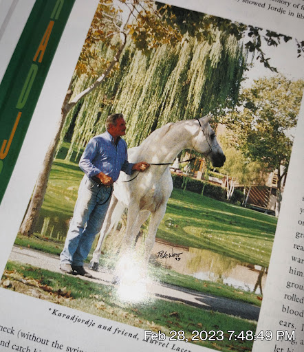 Collett Equine Veterinary Service - Thumbnail