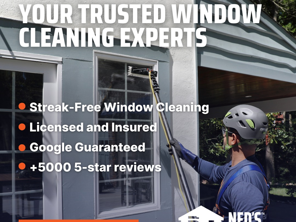 Ned Stevens Gutter Cleaning